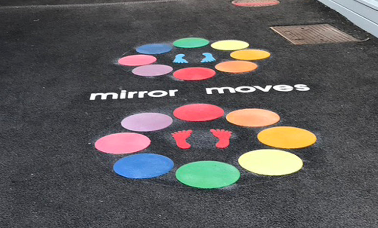 Mirror Moves Activity Circles